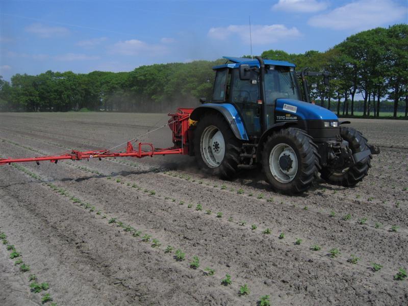 Leon Vissers Vissers aardbeiplanten BV America (15).JPG